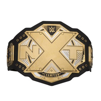 NXT Championship Replica Title Belt