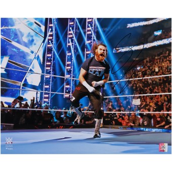 Sami Zayn WWE Autographed 16" x 20" Elimination Chamber Photograph