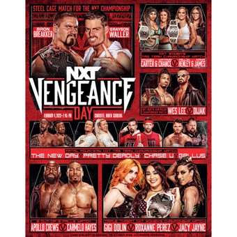 WWE NXT Vengeance Day 2023 11" x 14" Fight Poster Photograph